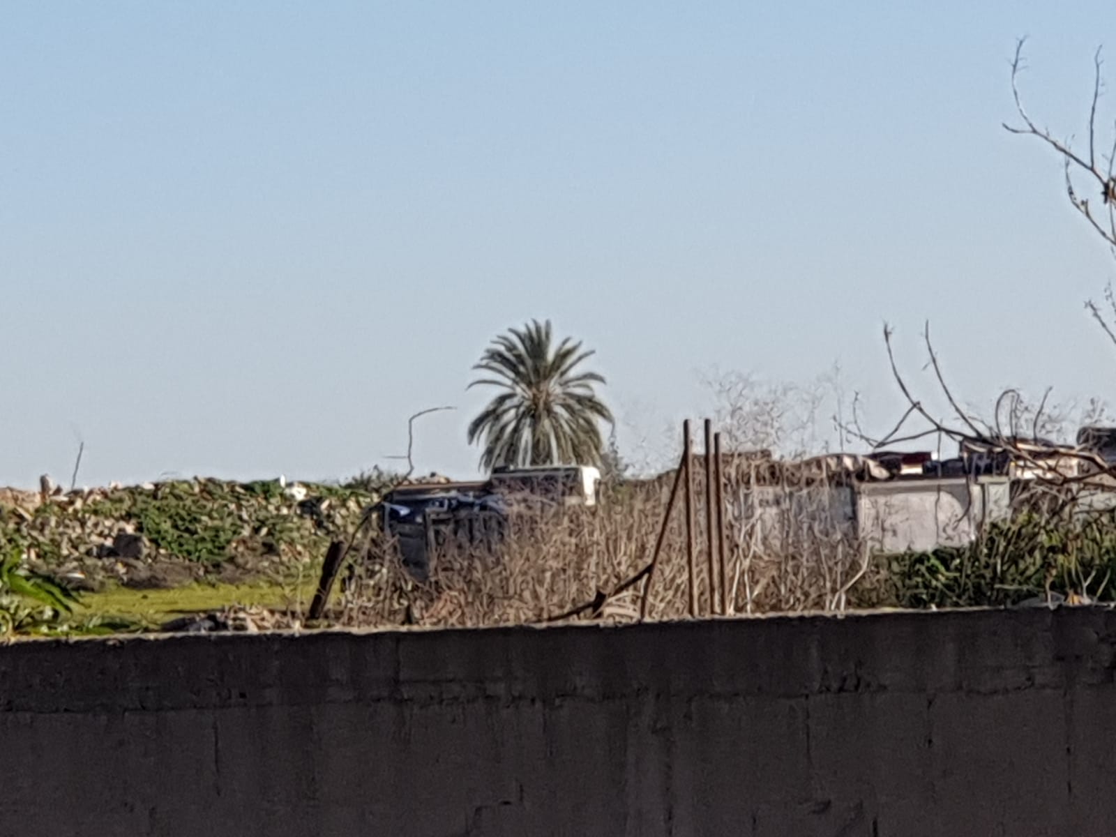 WhatsApp Image 2020-02-06 at 8.39.32 AM.jpeg.jpeg